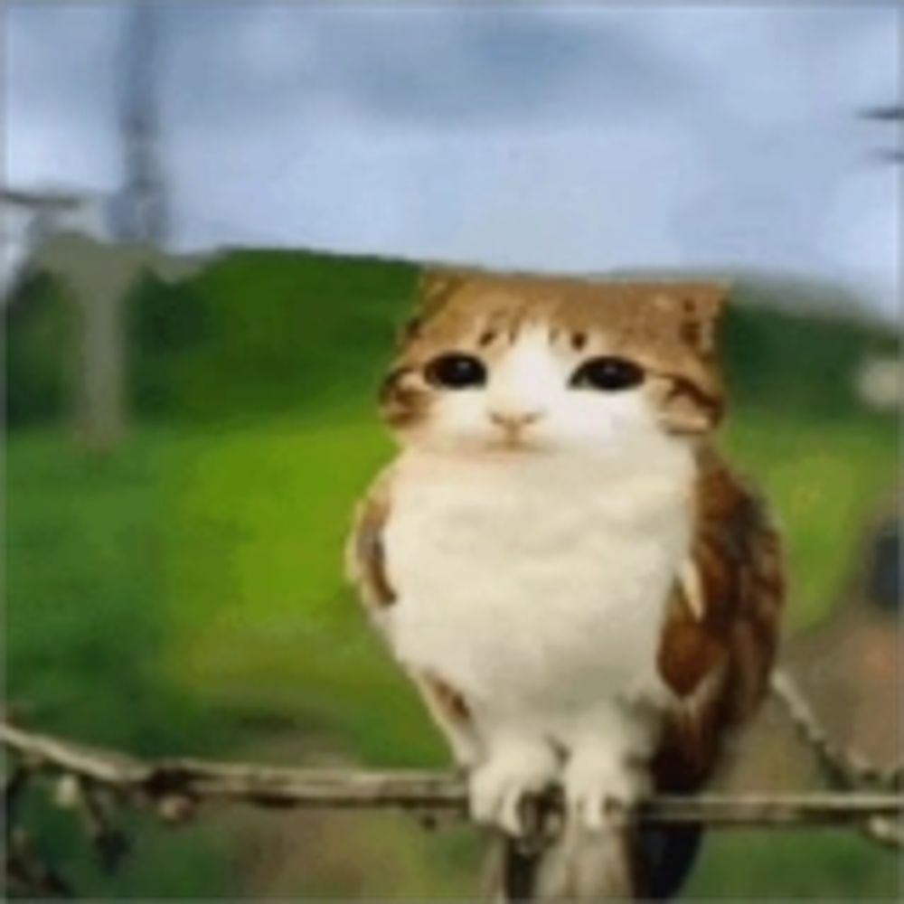 bup