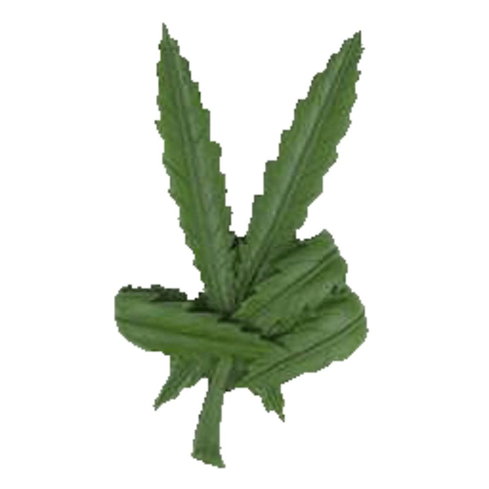 草