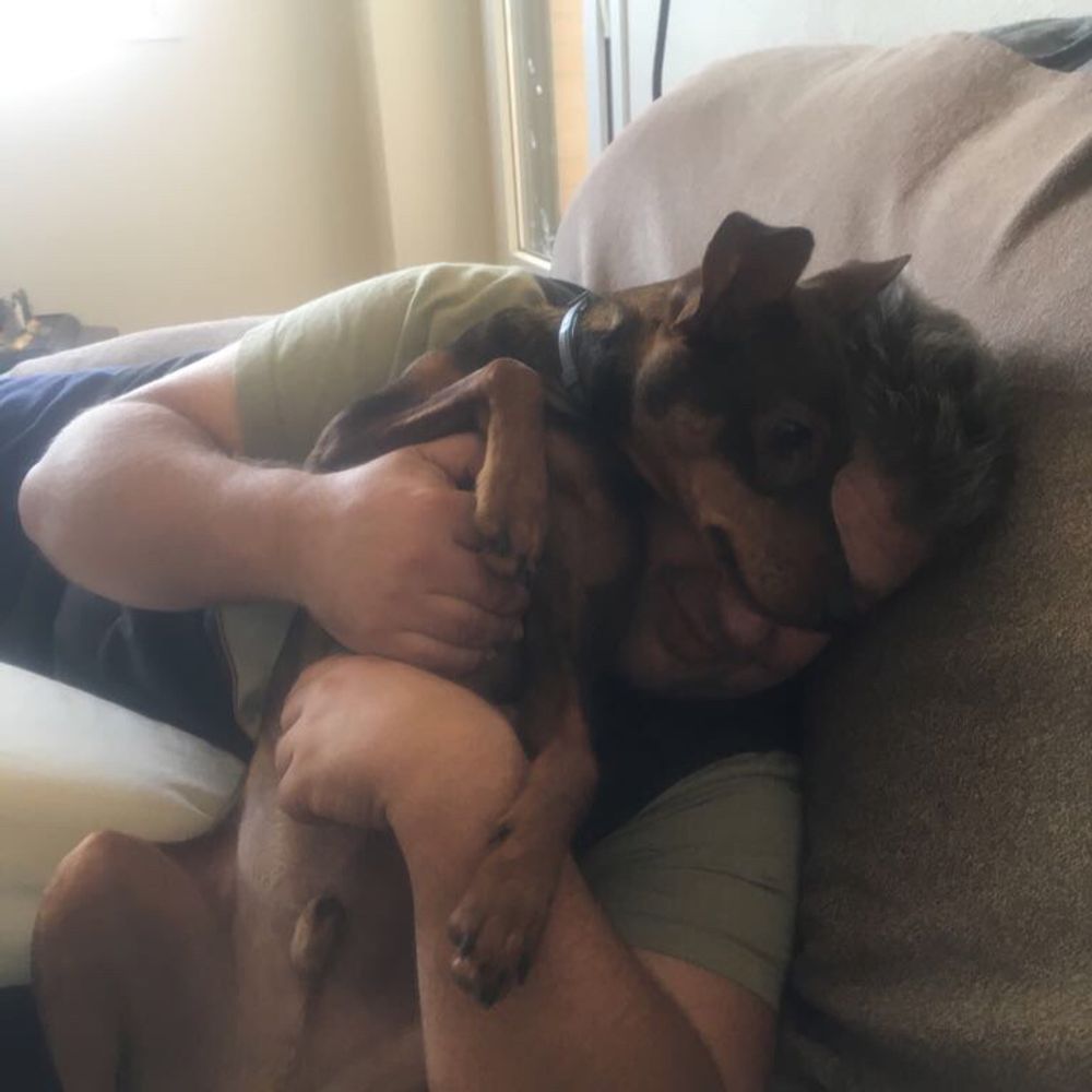 miky7795.bsky.social