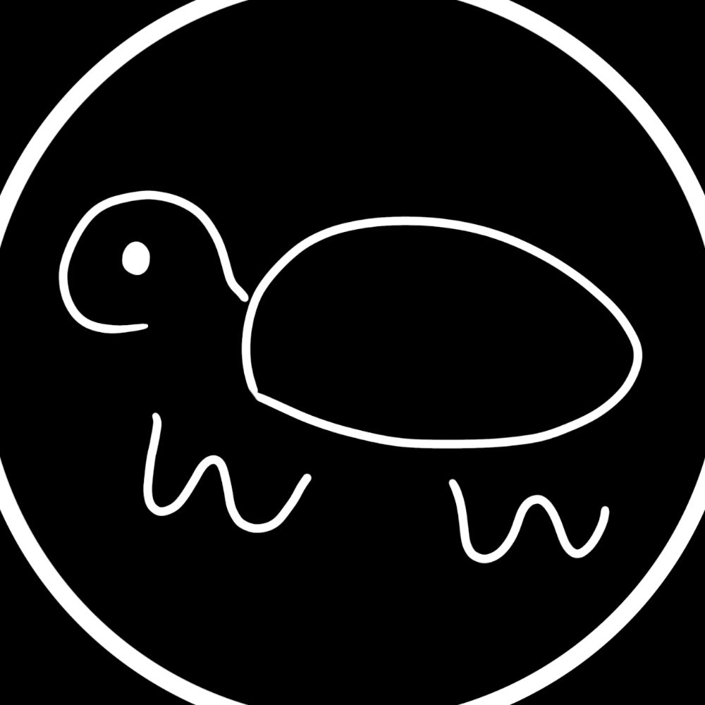 🐢