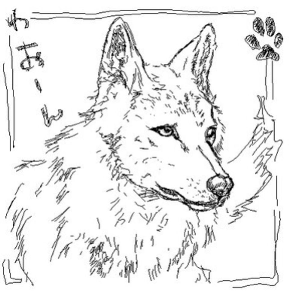 犬