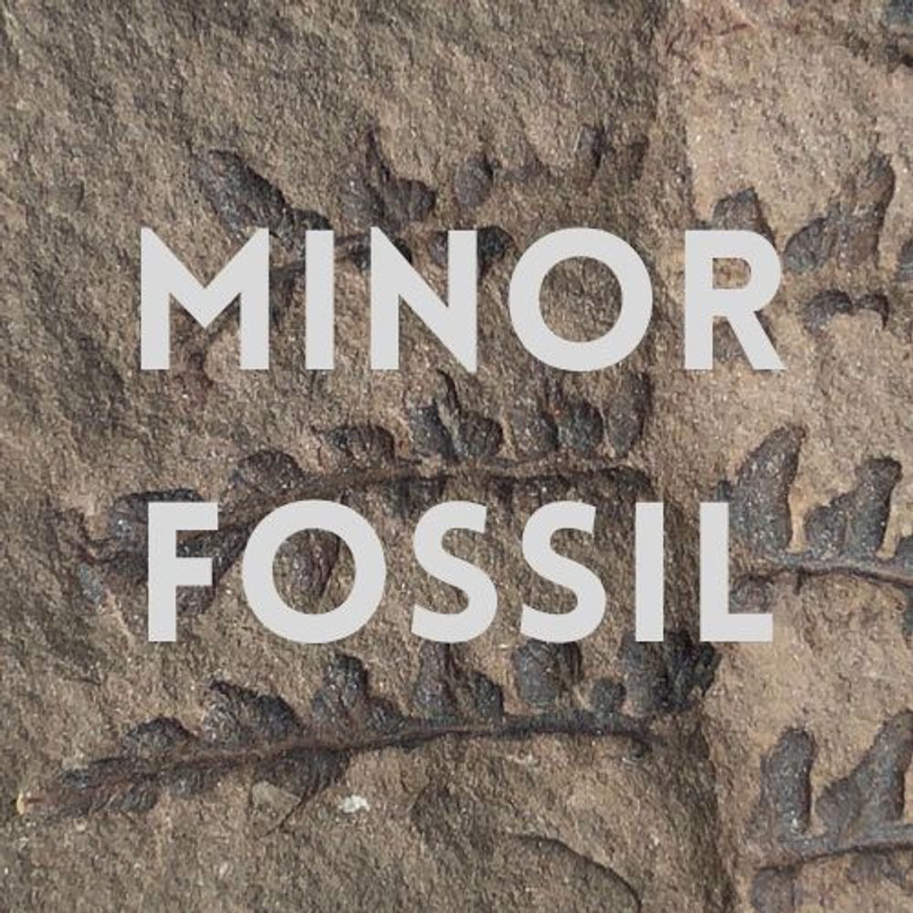 Minor Fossil