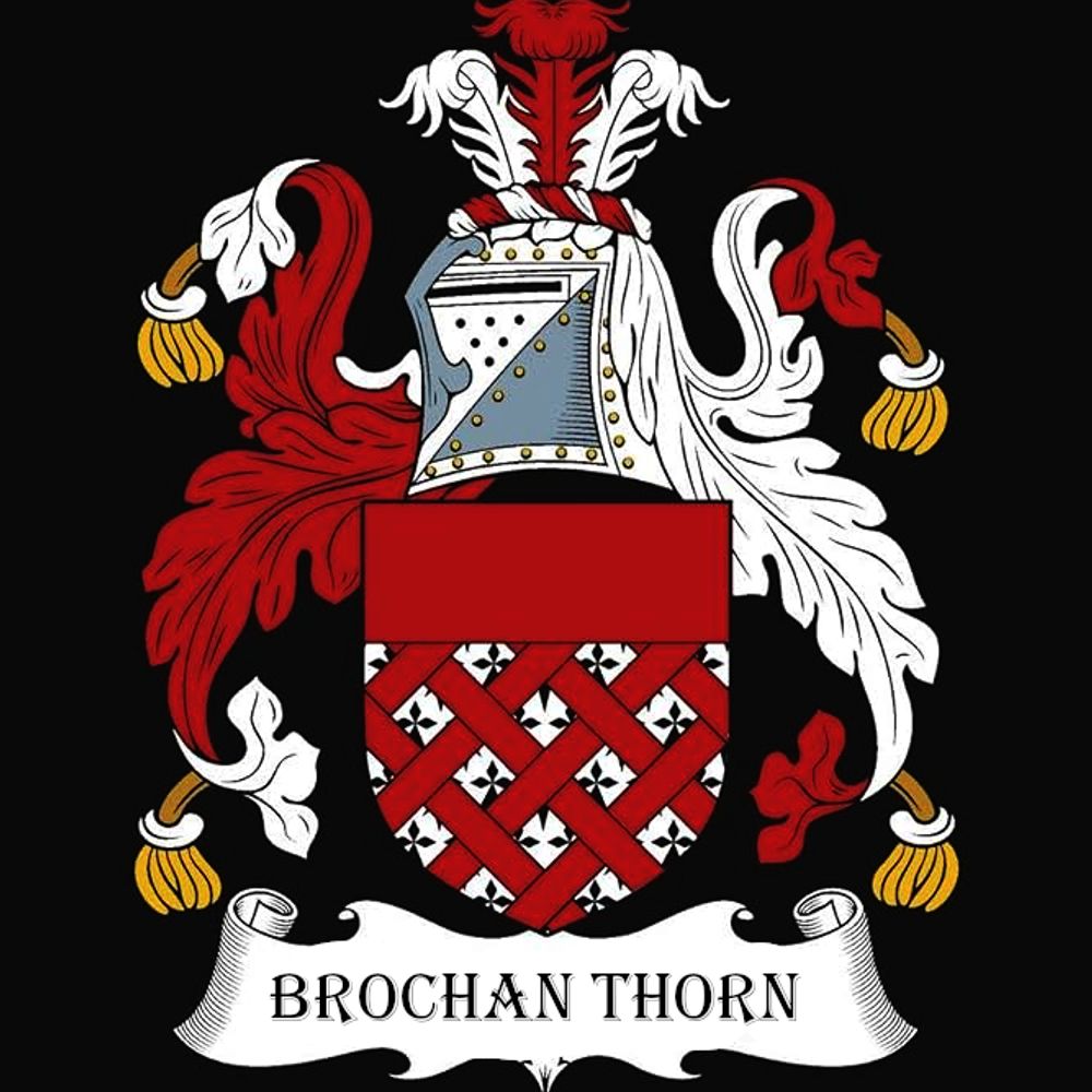 Profile picture brochanthorn.bsky.social