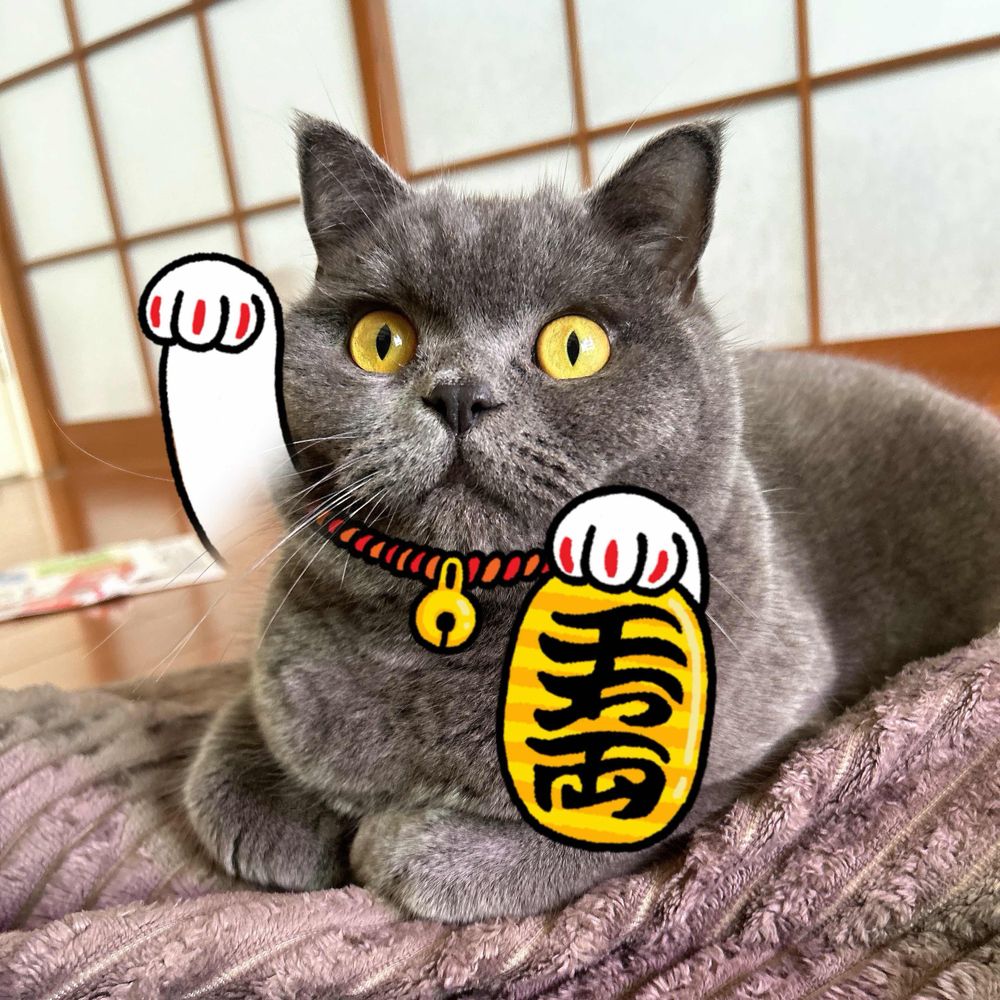 グレ♡リリー