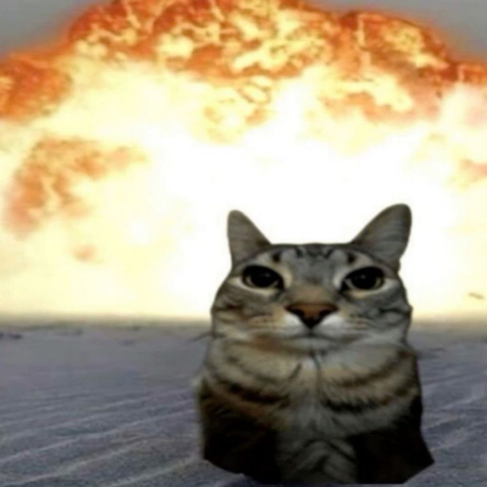 개딱