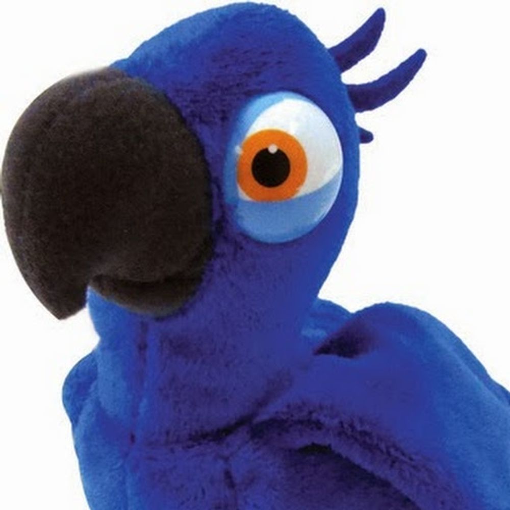 MacawLiao