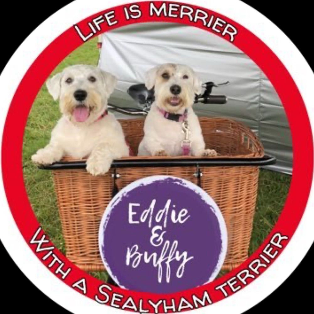 Sealyham Eddie (and Buffy)