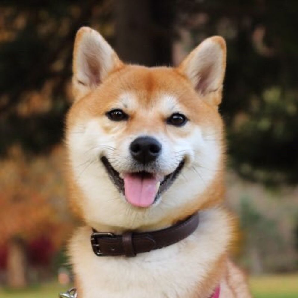 びす