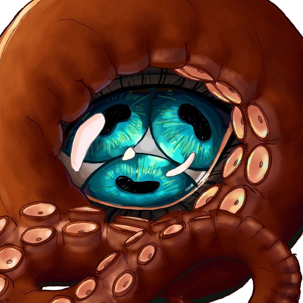 scribjellyfish