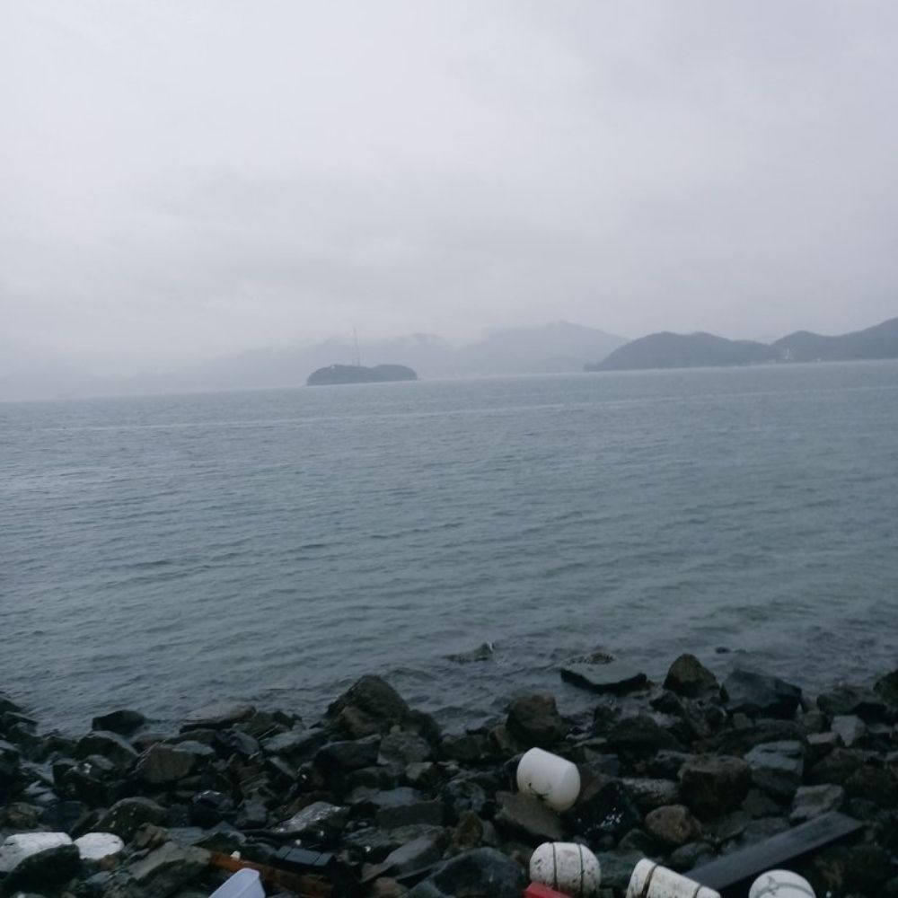 벼