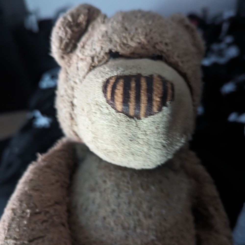 Ossington the Bear