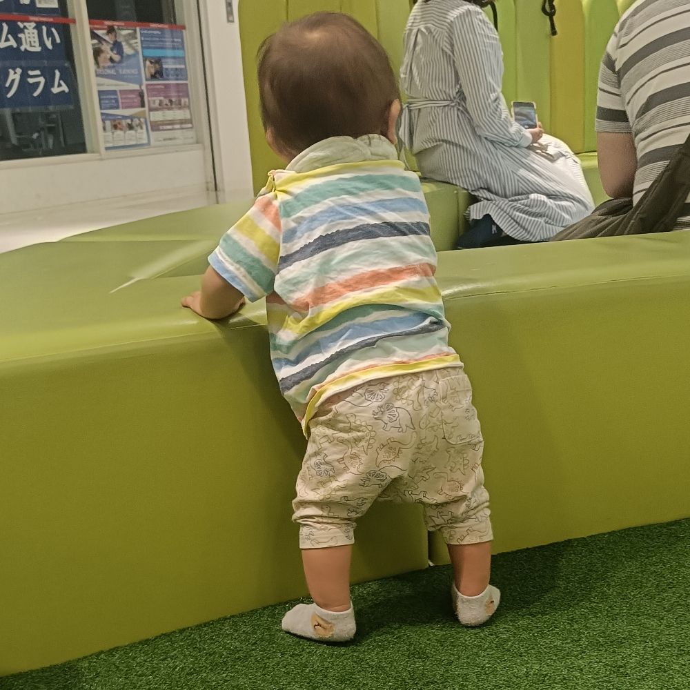 なび