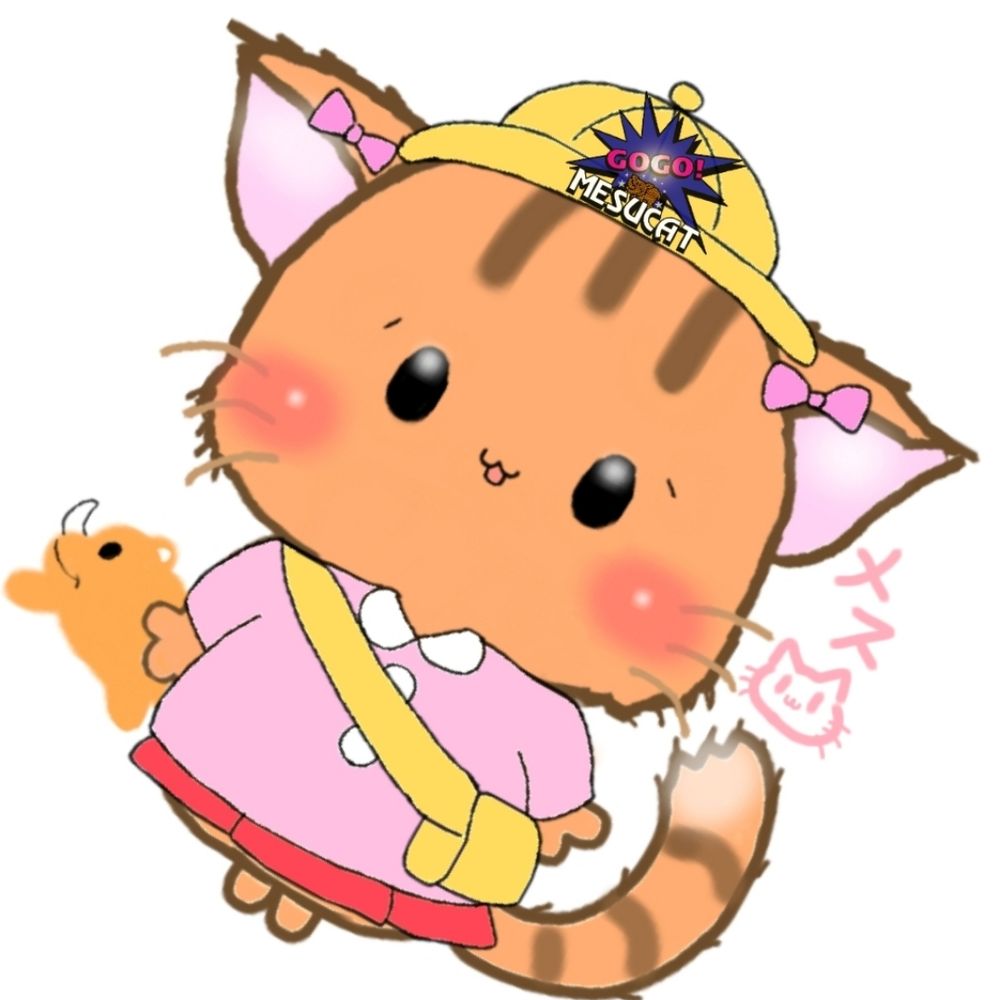 メス猫🐈🐈‍⬛