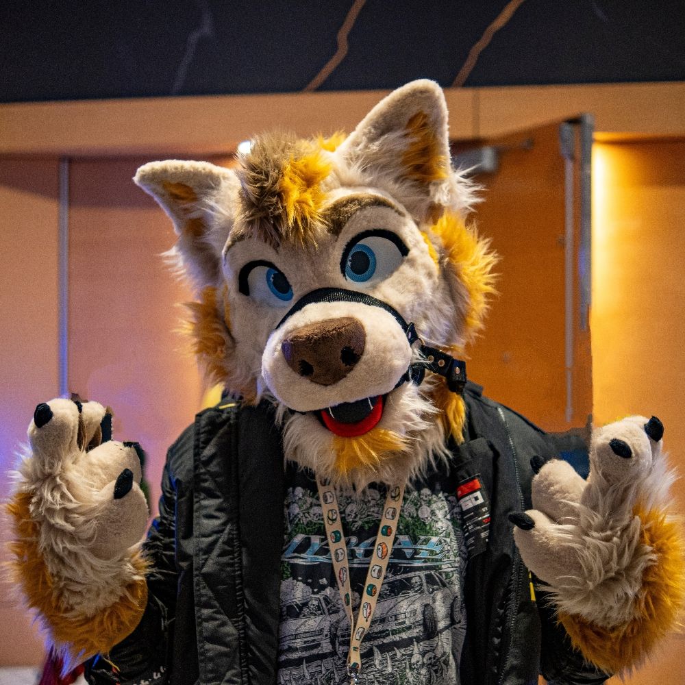 Paper 🐾