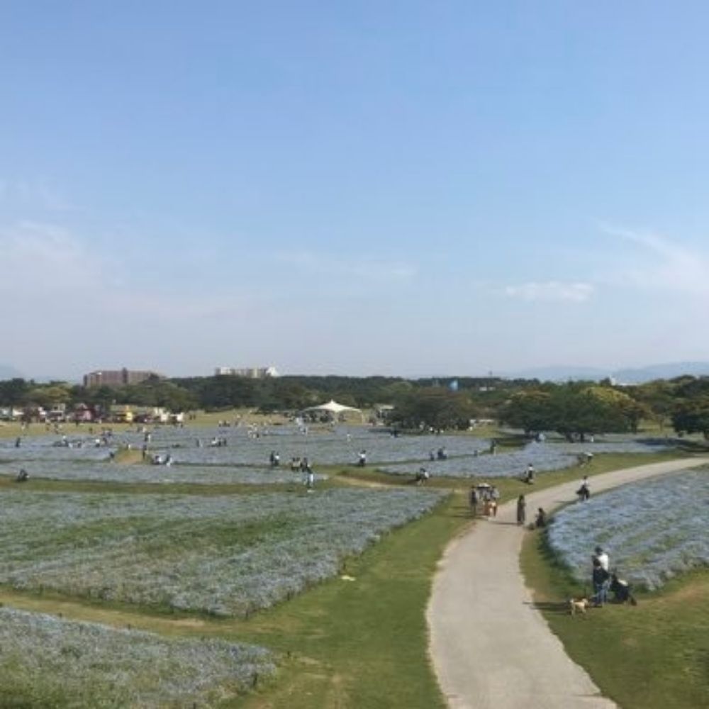 駆け付け毒三杯