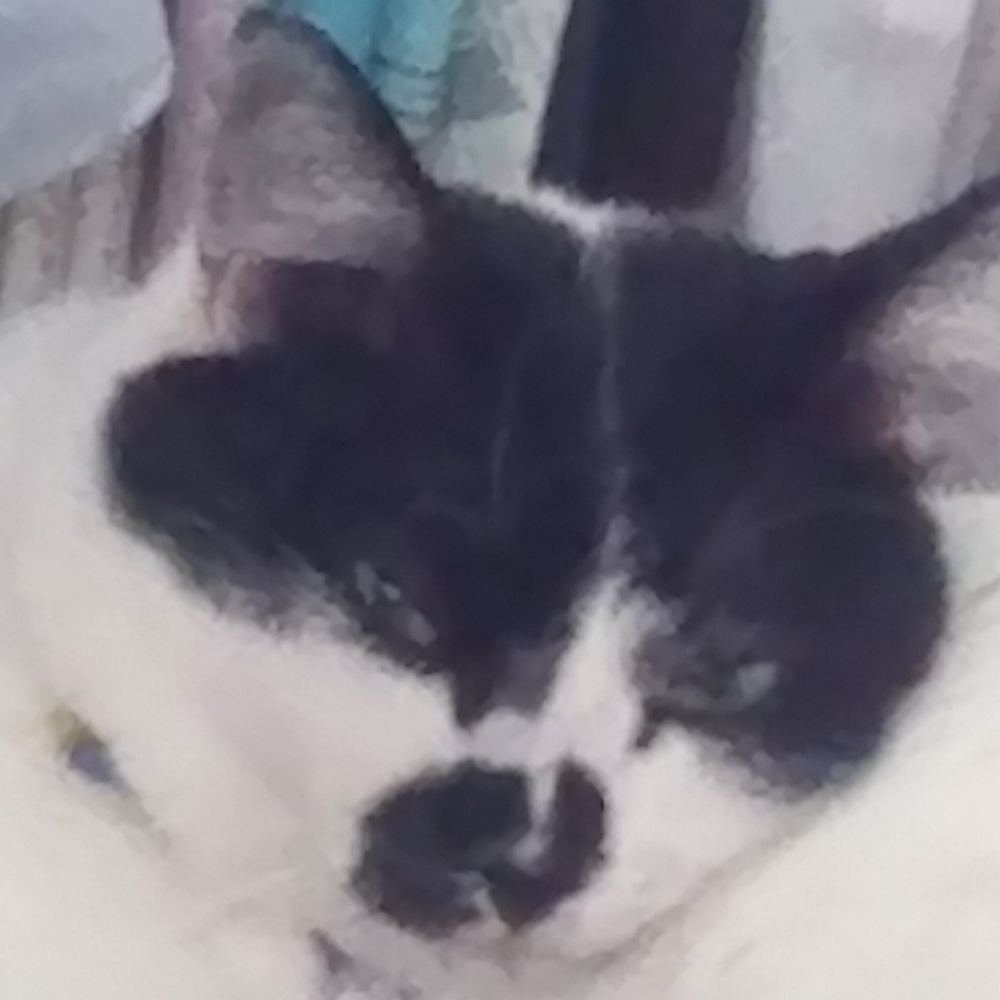 シェリー