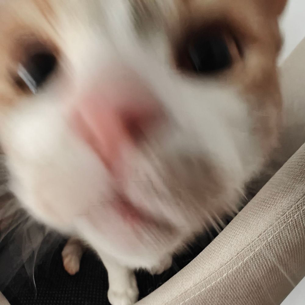 lonc