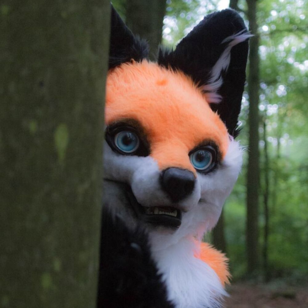 Fox Ambertail