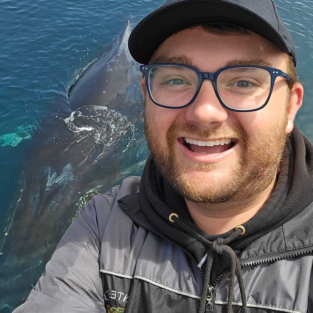 Master of Weird Little Guys 🐬