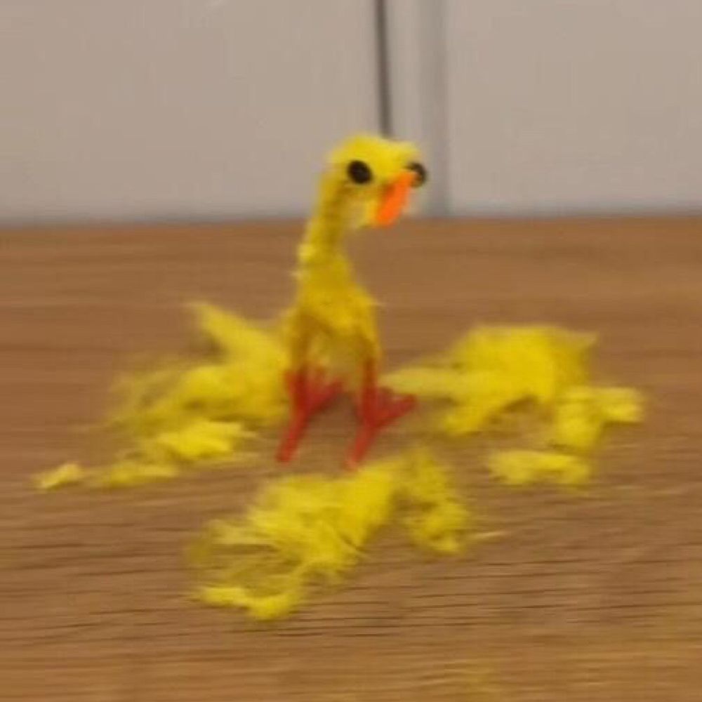 Yoshi
