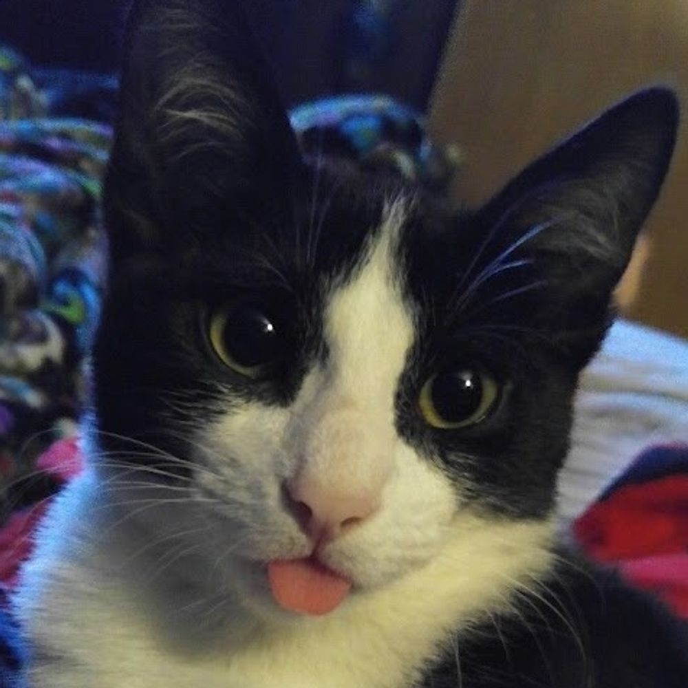🐾