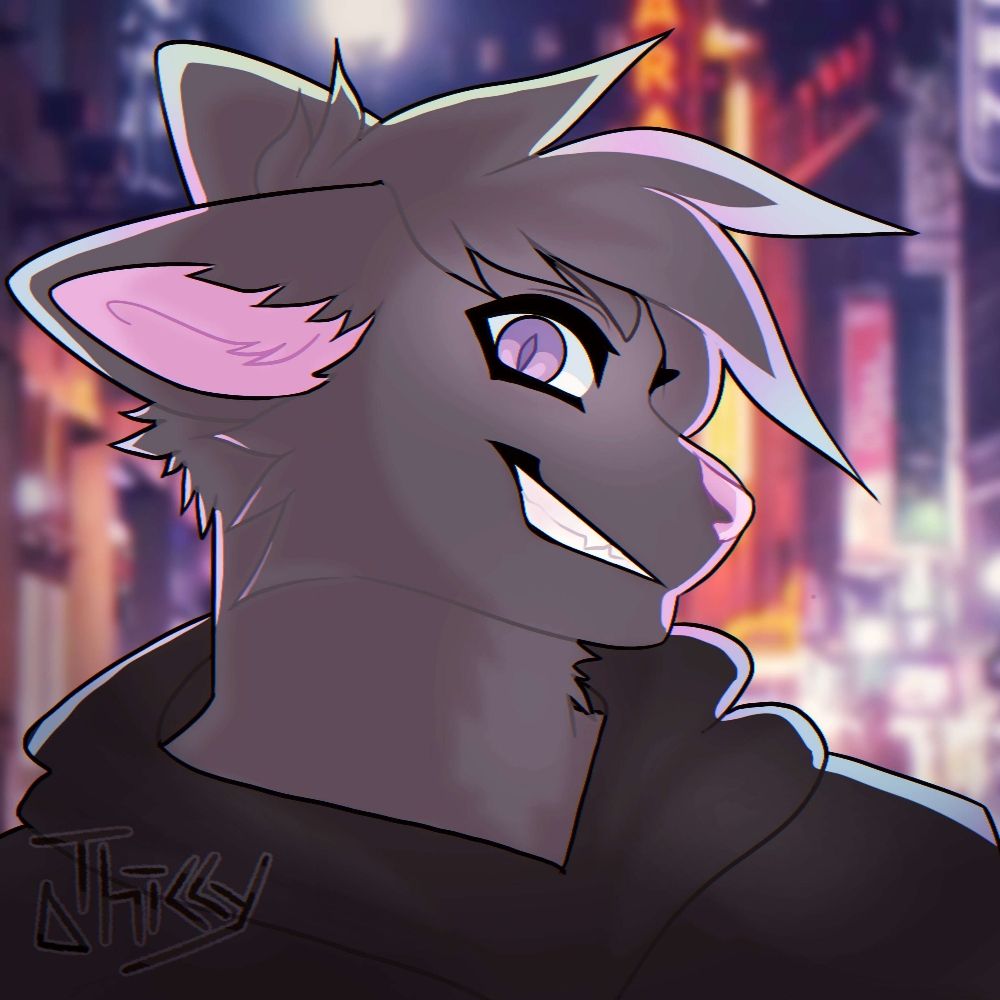 Kay the cat