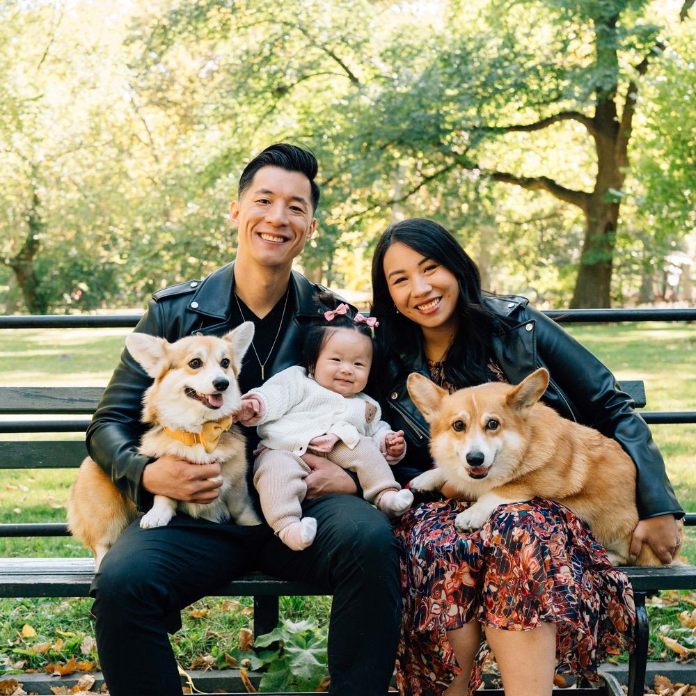 Dash & Lili The Corgis