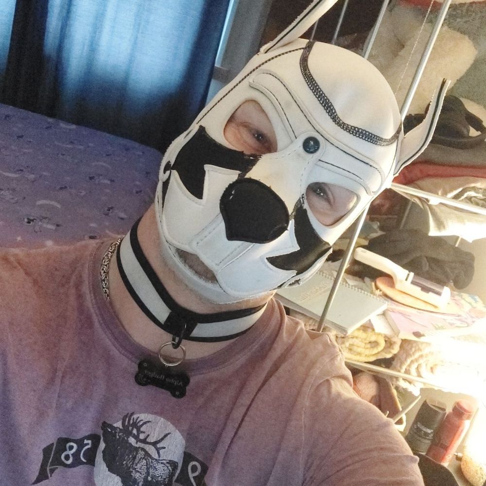 Pup Badger 🔜 Folsom 25
