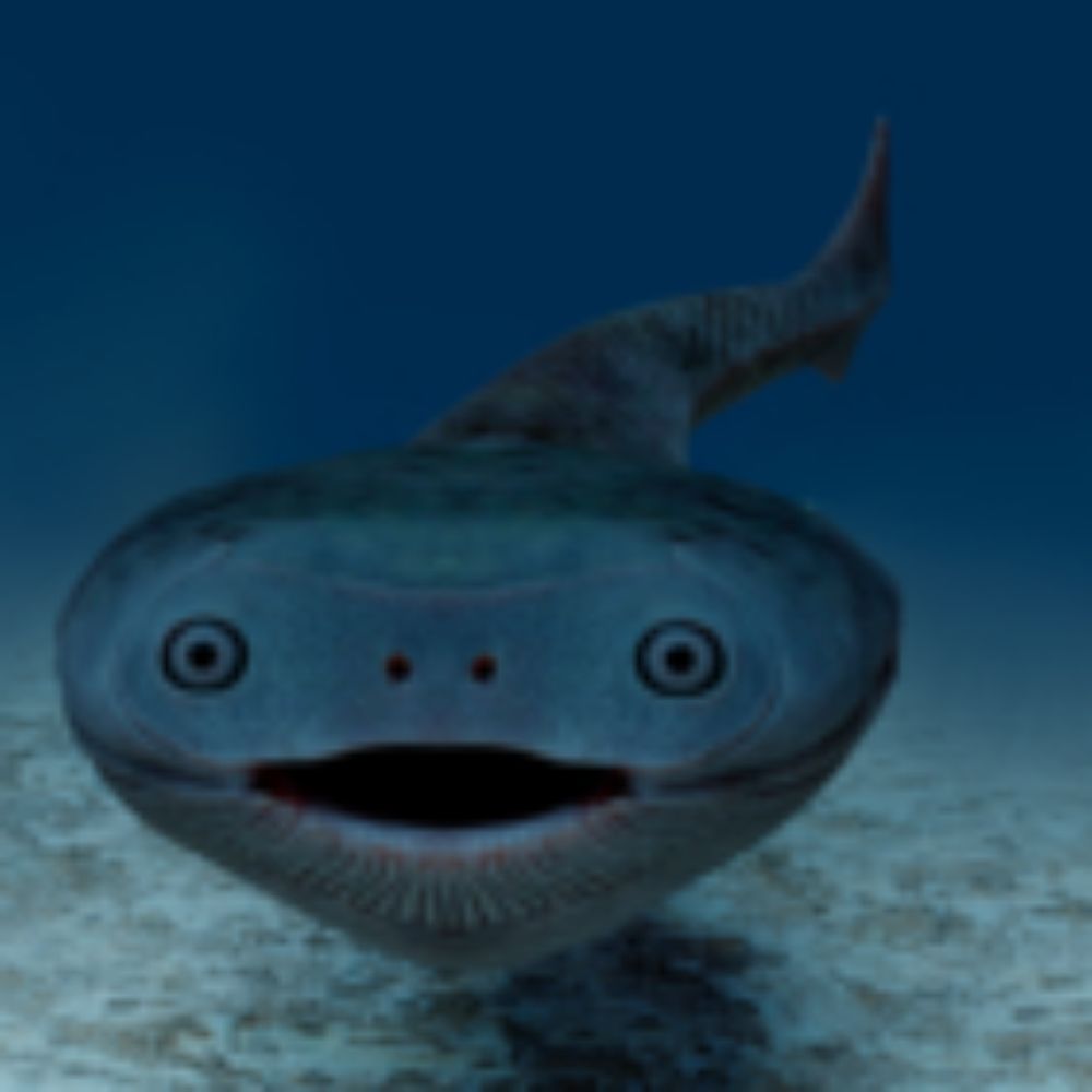 Bluepy Da blue