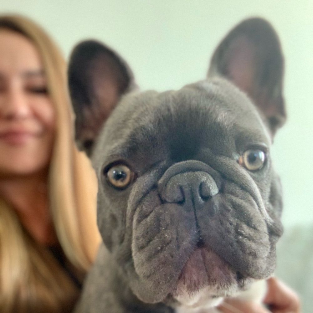 Isabel