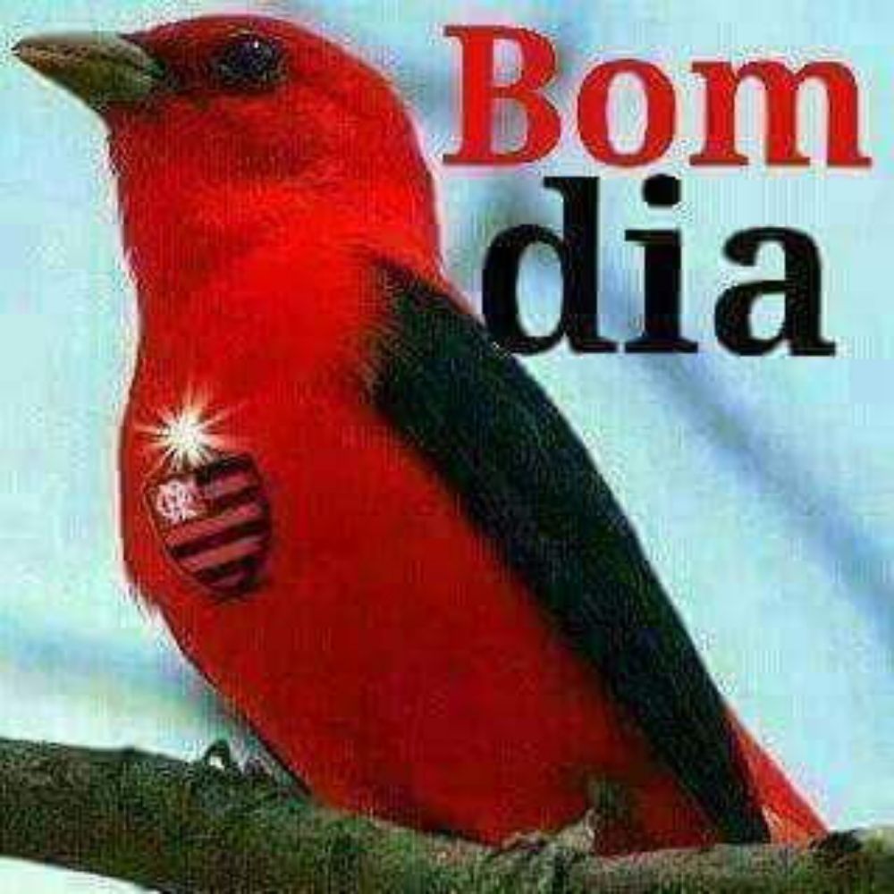 thaize