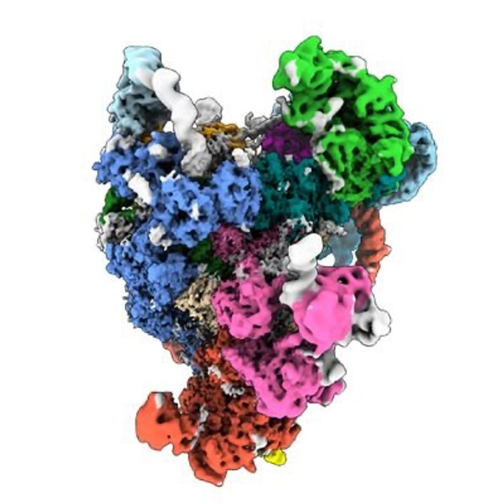 Cheng Lab