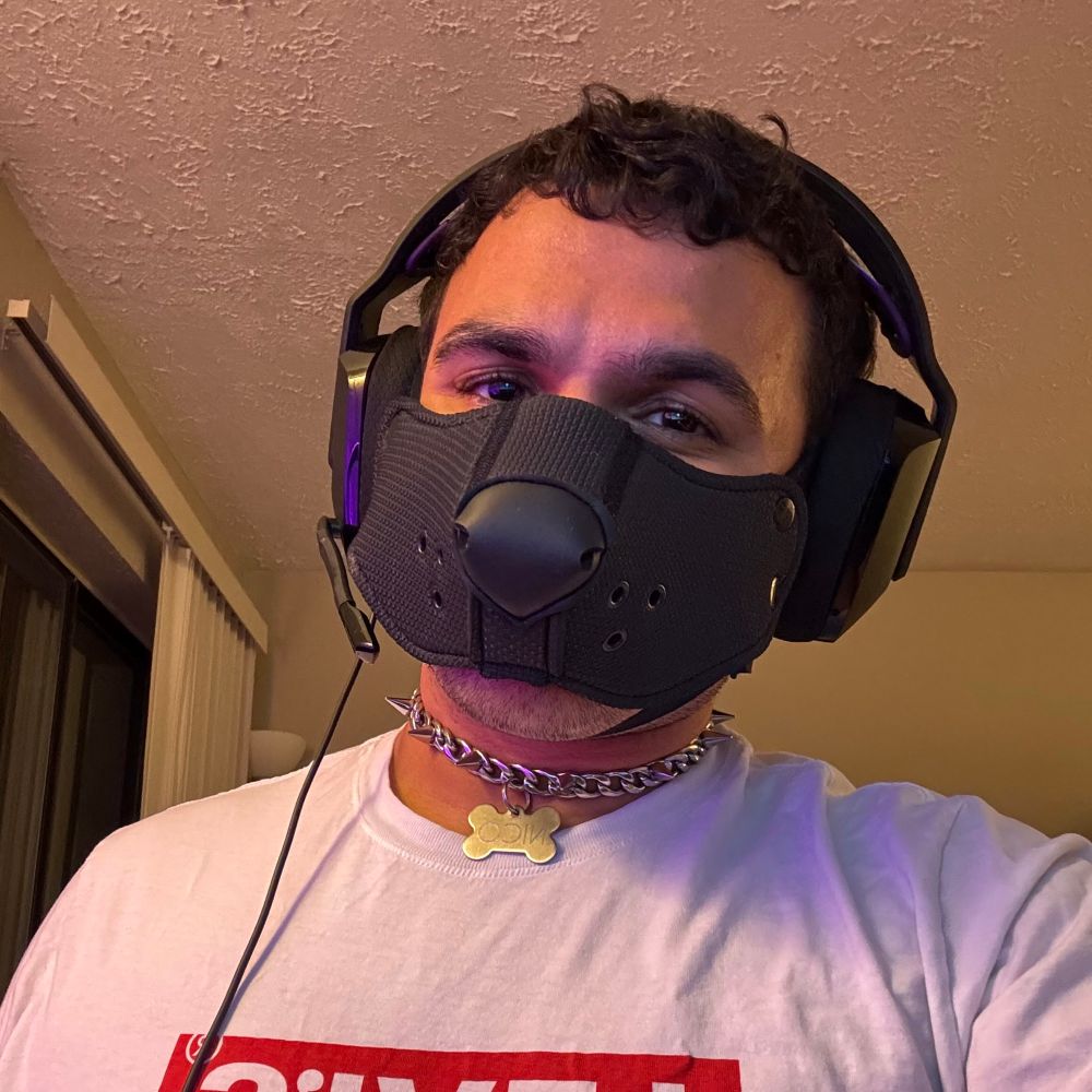 Pup Nico!