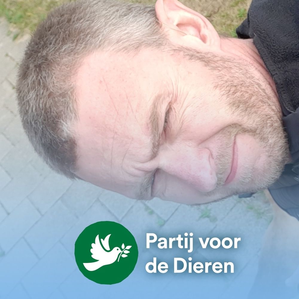 Dennis Dekker's avatar
