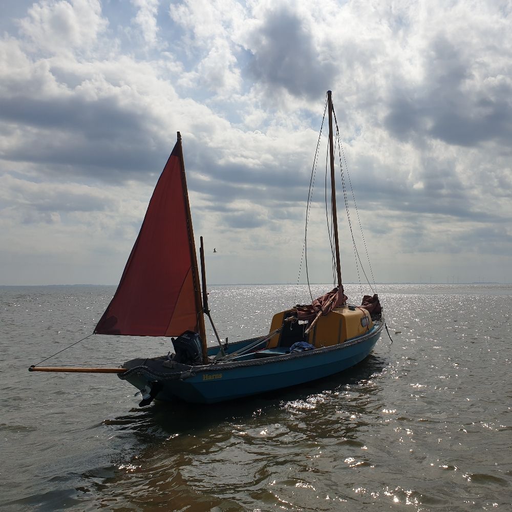 Henk Prins