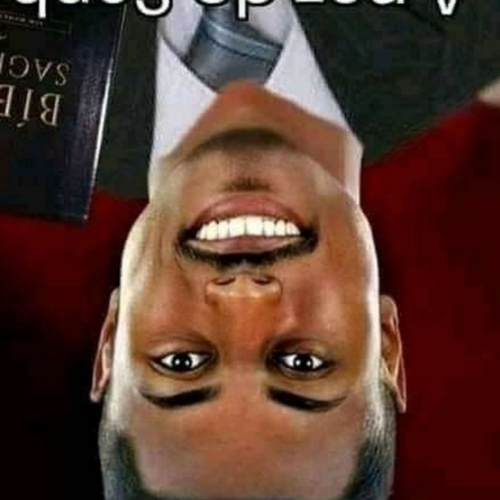 OGNEMALF aka oƃuǝɯɐlɟ