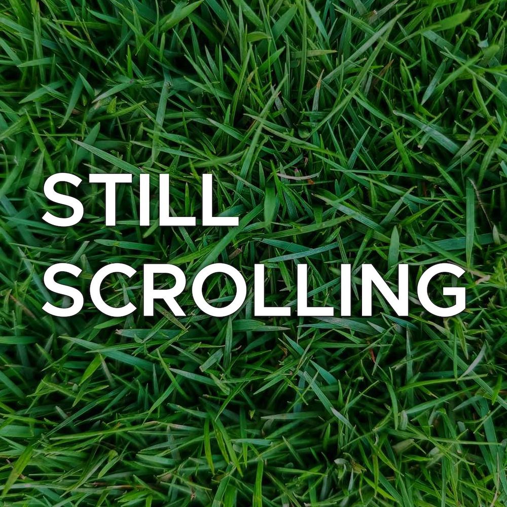 Still Scrolling