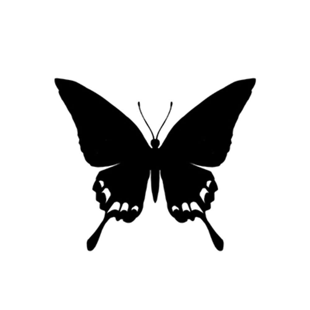 Ray