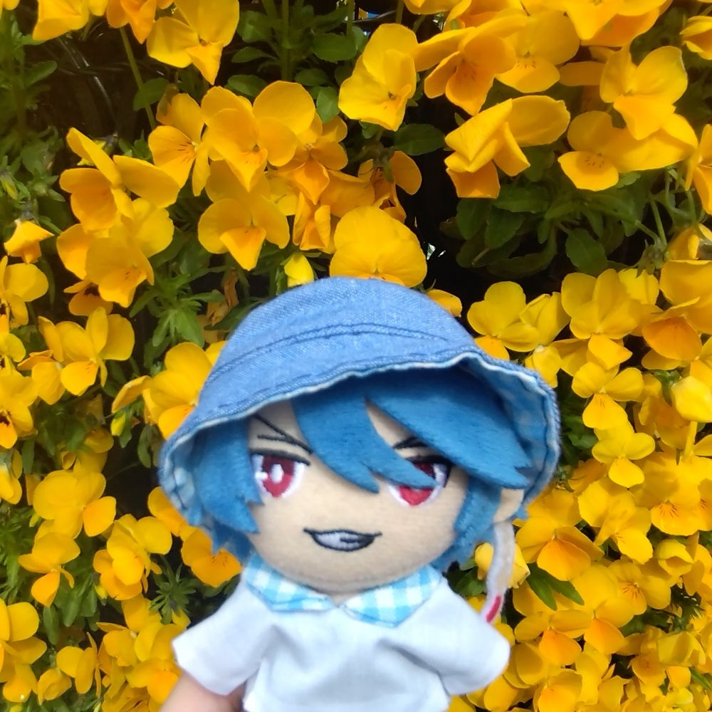 ふみ
