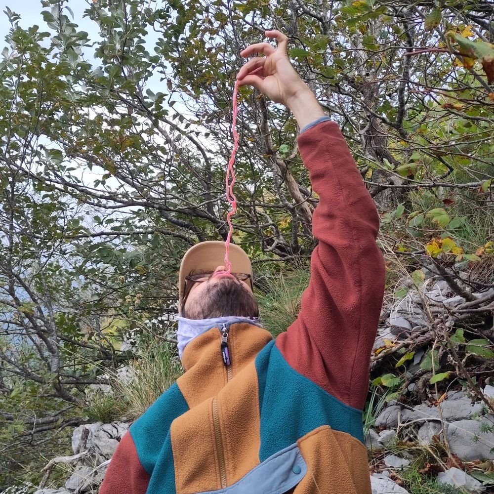 Felix