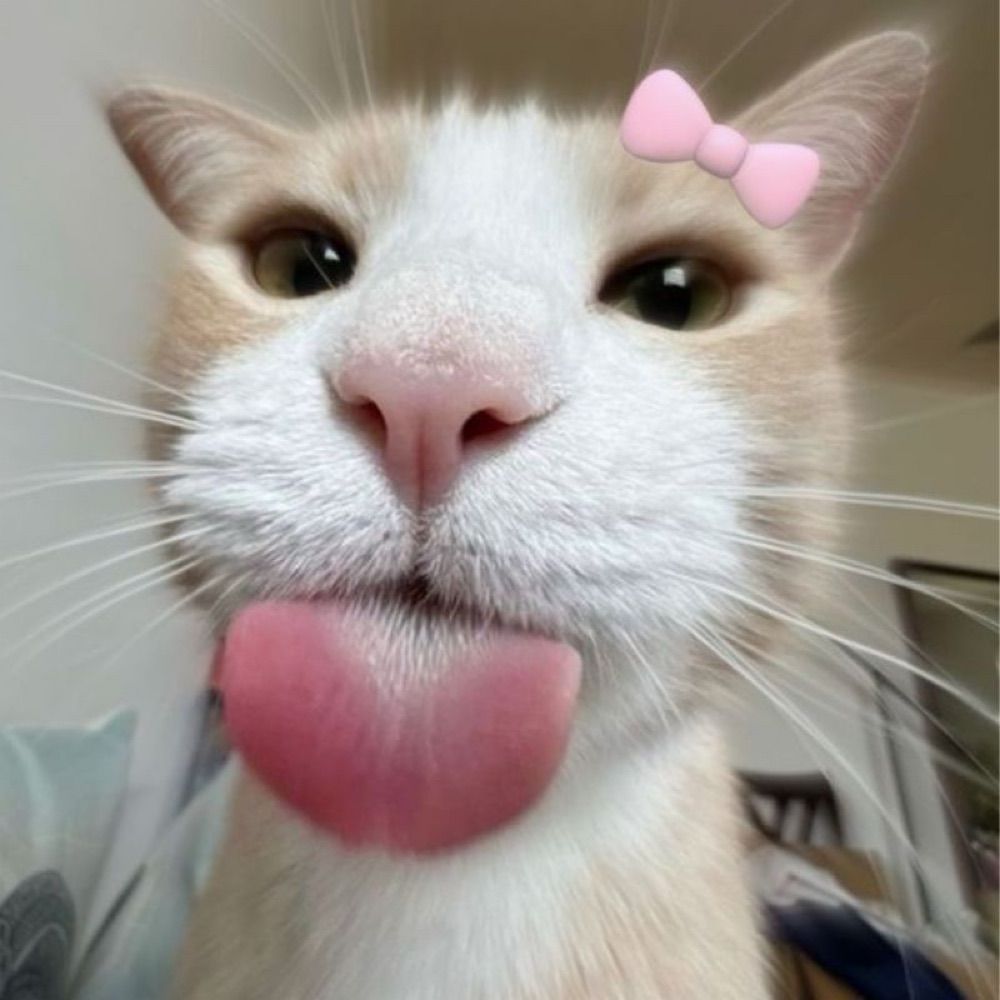 Shoyo