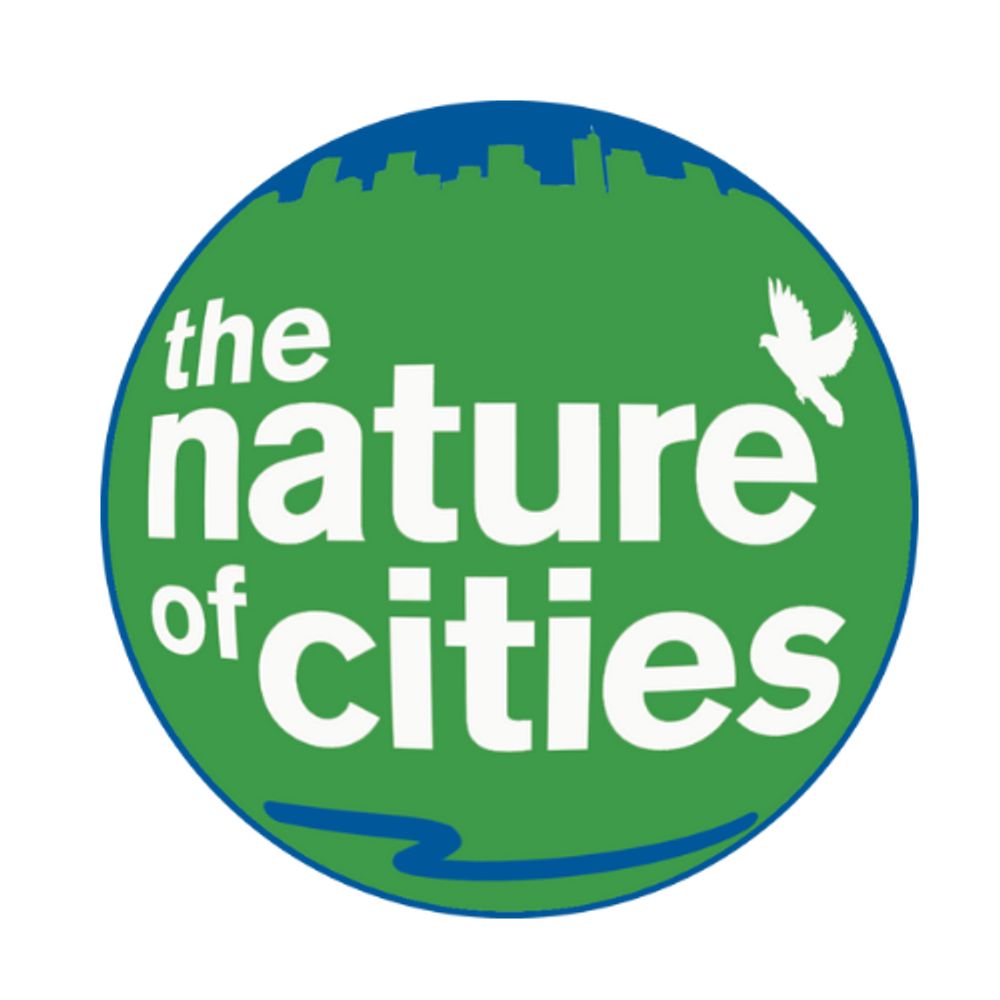 The Nature of Cities