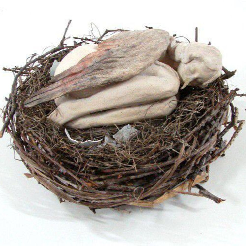 namoradinhadobr.bsky.social