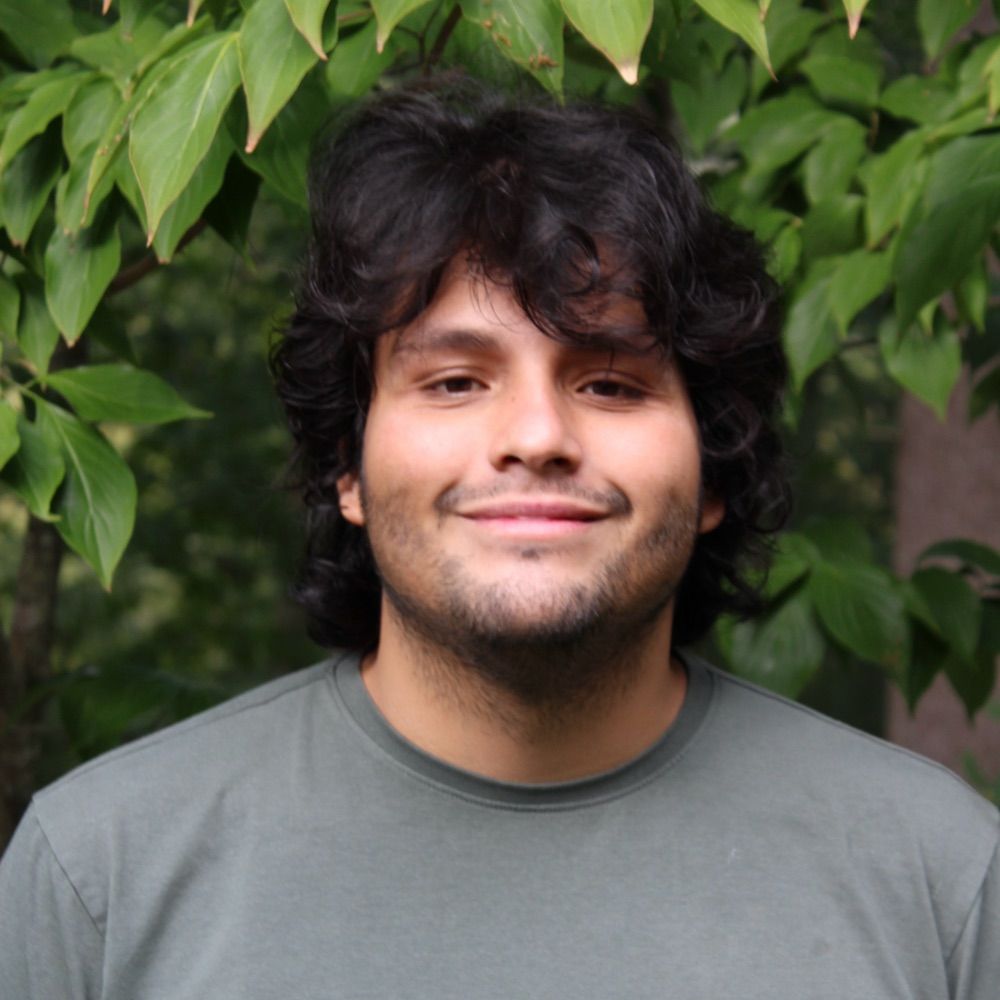 Sergio Triana