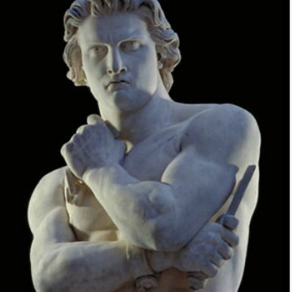 therealspartacus.bsky.social profile picture
