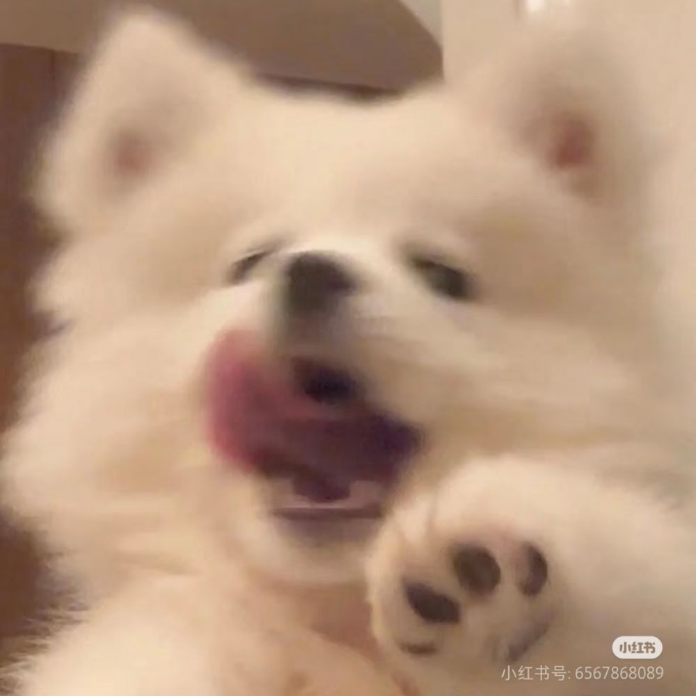 A-A-A-A