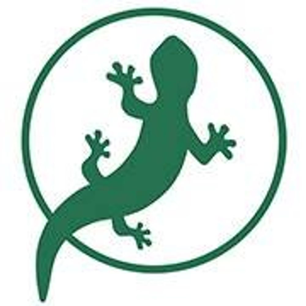 Salamandra