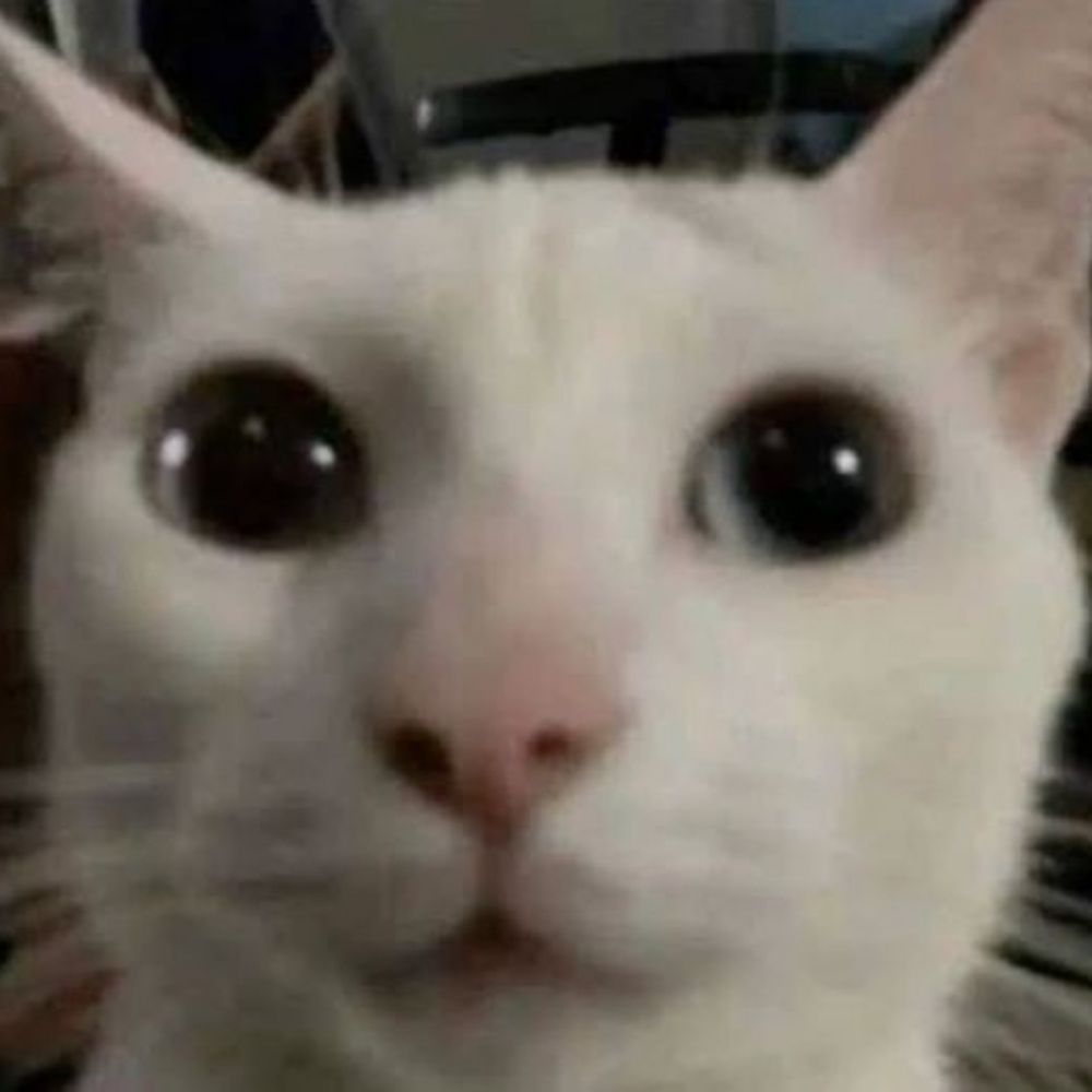 Medu