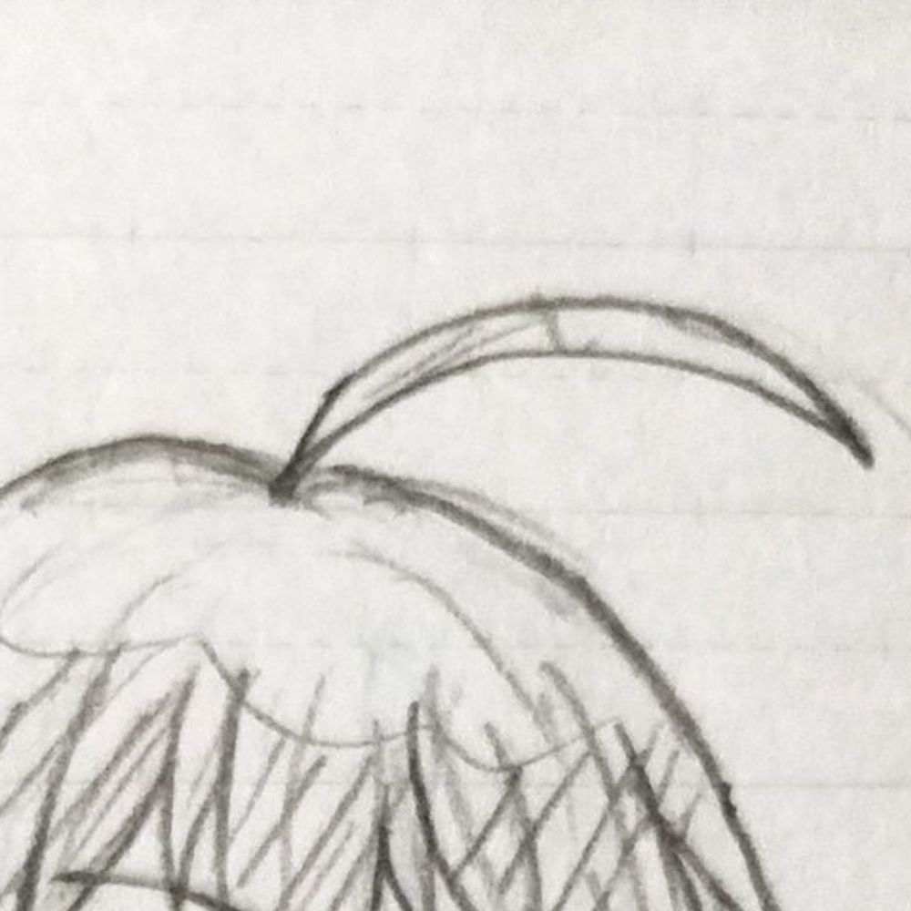 ちゃ