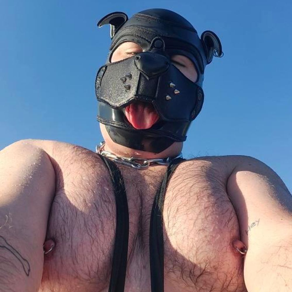 pup chain